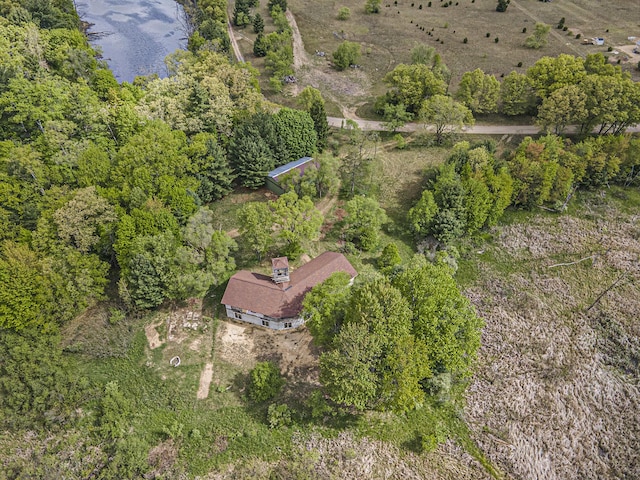 5901 Sweeter Rd, Twin Lake, MI 49457 - aerial view of property's location with a nearby body of water
