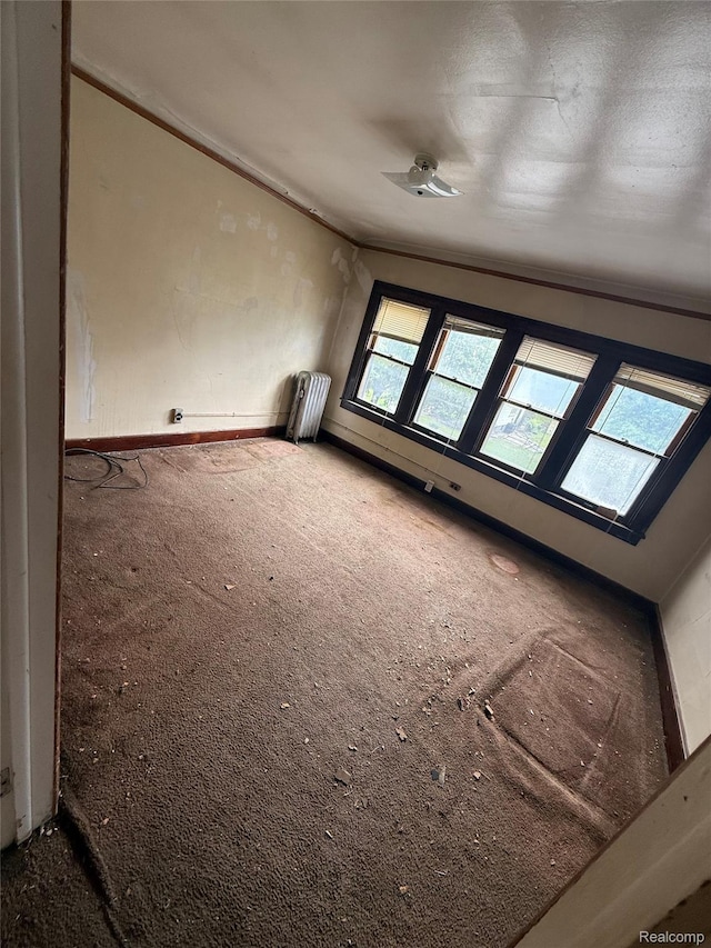 8071 Elgin St, Detroit, MI 48234 - spare room featuring healthy amount of natural light, radiator, carpet floors, and crown molding