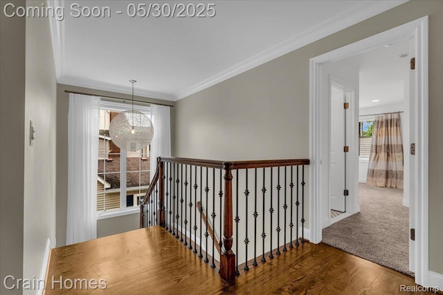 499 Catalpa Dr, Birmingham, MI 48009 - hall with baseboards, crown molding, wood finished floors, and an upstairs landing