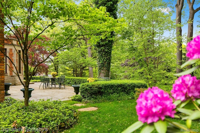 401 Dunston Rd, Bloomfield Hills, MI 48304 - view of property's community featuring a patio area