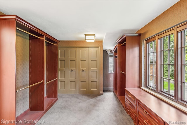 401 Dunston Rd, Bloomfield Hills, MI 48304 - walk in closet with carpet floors
