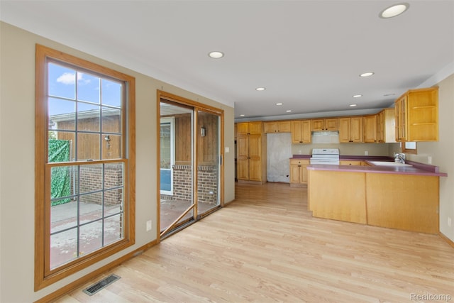1914 10th St, Port Huron, MI 48060 - kitchen featuring stove, light wood-style floors, a peninsula, open shelves, and recessed lighting