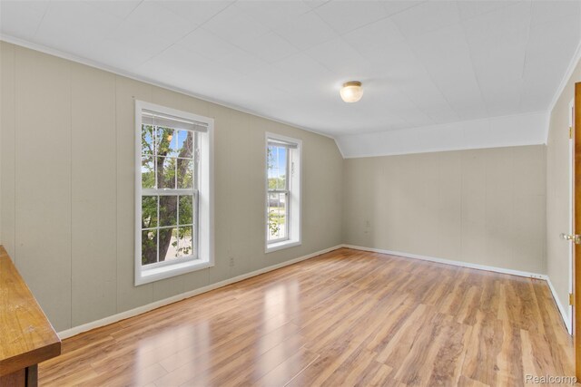 1914 10th St, Port Huron, MI 48060 - bonus room featuring healthy amount of natural light, light wood-type flooring, baseboards, and vaulted ceiling
