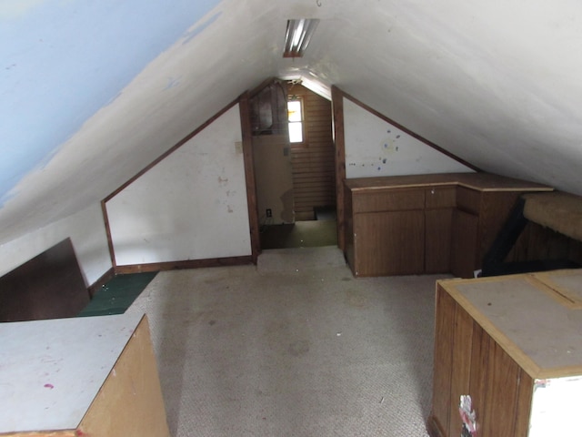 814 Ira Ave, Kalamazoo, MI 49048 - additional living space featuring lofted ceiling and carpet flooring