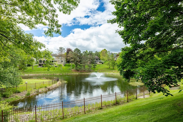 2125208 Nature Cove Ct, Ann Arbor, MI 48104 - water view