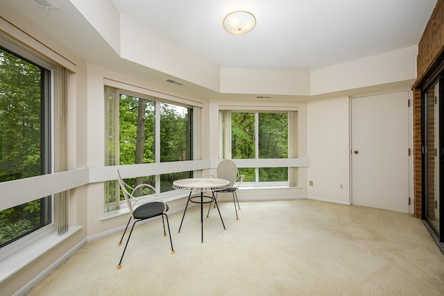 2125208 Nature Cove Ct, Ann Arbor, MI 48104 - sunroom / solarium featuring healthy amount of natural light