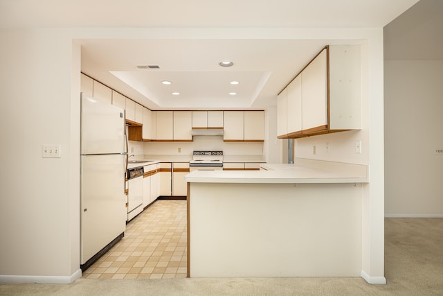 2125208 Nature Cove Ct, Ann Arbor, MI 48104 - kitchen with white appliances, a peninsula, recessed lighting, light countertops, and a tray ceiling