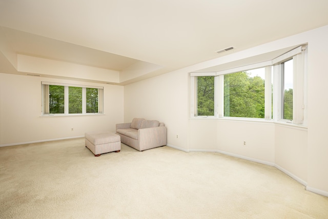 2125208 Nature Cove Ct, Ann Arbor, MI 48104 - unfurnished room featuring light carpet, baseboards, and a raised ceiling