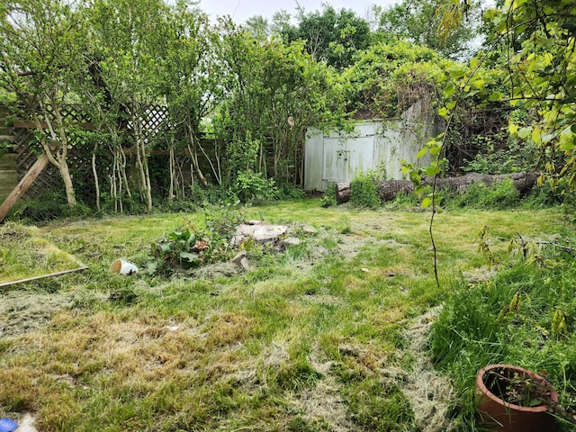 907 Russell St, Kalamazoo, MI 49001 - view of grassy yard
