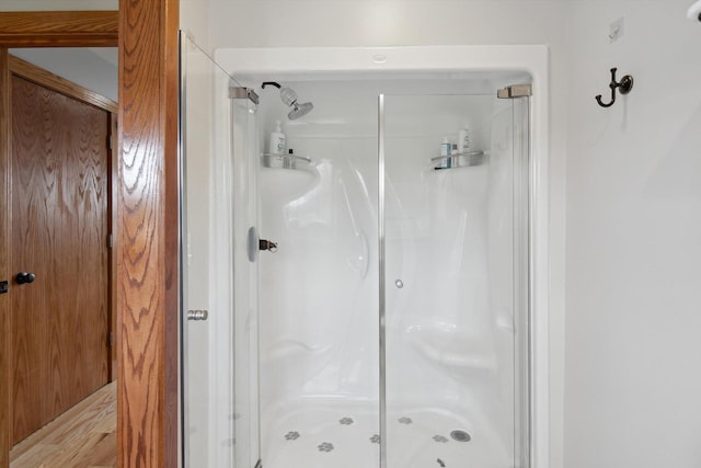 10200 Jerome Rd N, Jerome, MI 49249 - bathroom with a shower stall and wood finished floors