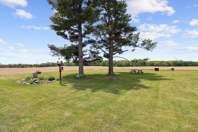 10200 Jerome Rd N, Jerome, MI 49249 - view of green lawn