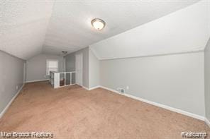 17167 Salem St, Detroit, MI 48219 - bonus room with lofted ceiling, baseboards, and carpet