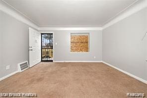 17167 Salem St, Detroit, MI 48219 - unfurnished room with carpet, baseboards, and crown molding