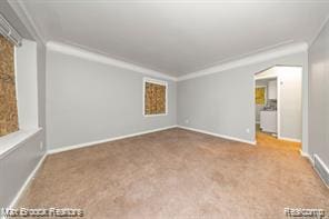 17167 Salem St, Detroit, MI 48219 - spare room with carpet, baseboards, and crown molding
