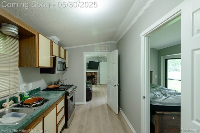 10531 Devils Lake Hwy, Addison, MI 49220 - kitchen with stainless steel appliances, light wood-style floors, dark countertops, crown molding, and a sink