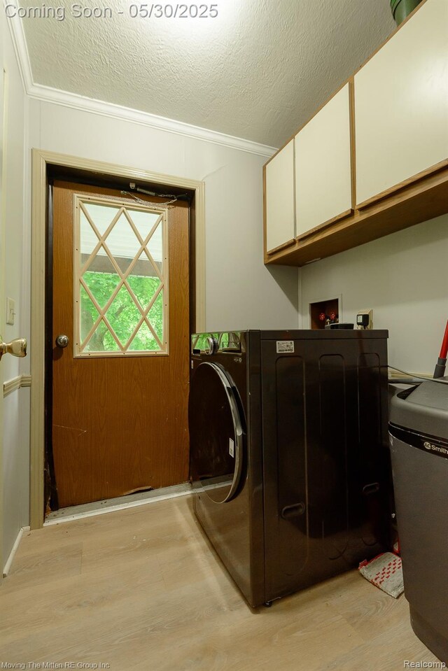 10531 Devils Lake Hwy, Addison, MI 49220 - laundry area featuring cabinet space, washer / dryer, light wood-type flooring, crown molding, and a textured ceiling