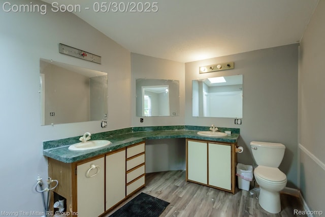 10531 Devils Lake Hwy, Addison, MI 49220 - bathroom featuring double vanity, wood finished floors, and toilet