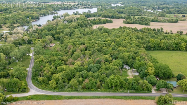 10531 Devils Lake Hwy, Addison, MI 49220 - aerial view of a large body of water and a heavily wooded area
