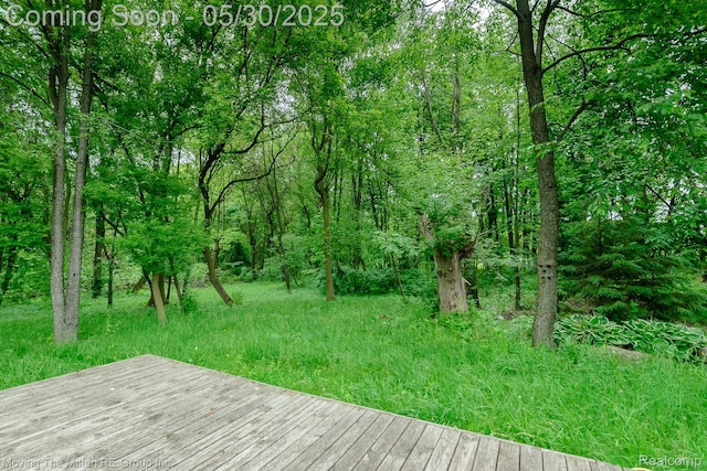 10531 Devils Lake Hwy, Addison, MI 49220 - view of deck