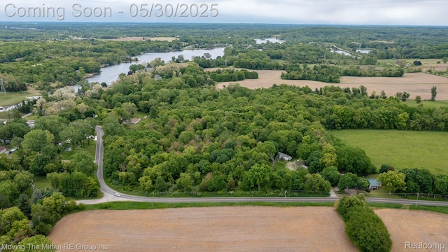 10531 Devils Lake Hwy, Addison, MI 49220 - aerial view of a large body of water and a heavily wooded area