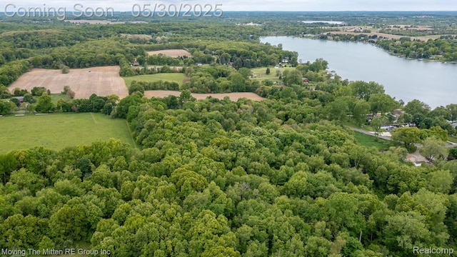 10531 Devils Lake Hwy, Addison, MI 49220 - aerial view of a large body of water and a forest