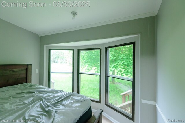 10531 Devils Lake Hwy, Addison, MI 49220 - bedroom featuring crown molding