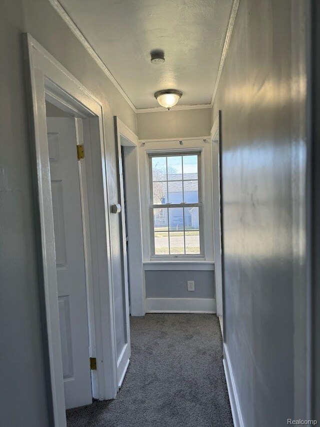 12632 E Canfield St, Detroit, MI 48215 - hall featuring dark colored carpet, ornamental molding, and baseboards