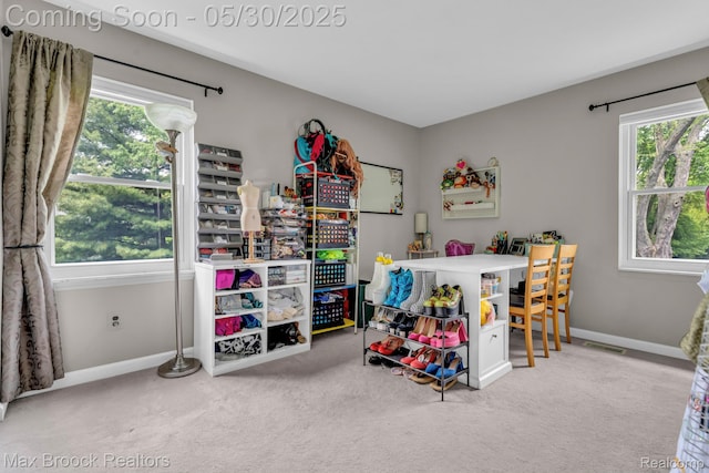 591 S Spinningwheel Ln, Bloomfield Hills, MI 48304 - recreation room with carpet, plenty of natural light, and baseboards