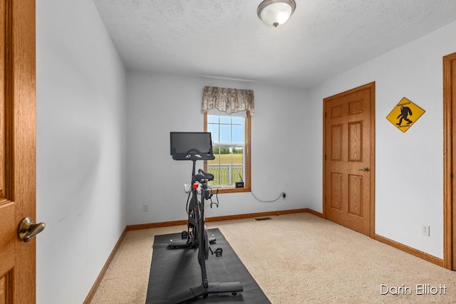 1141 E Tupper Lake Rd, Lake Odessa, MI 48849 - workout room with a textured ceiling, carpet floors, and baseboards
