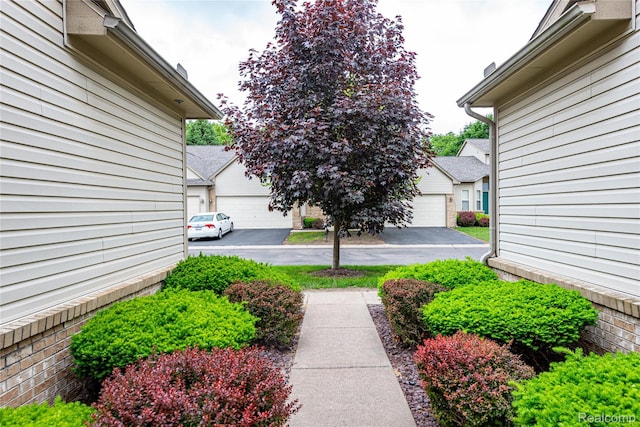 24511 Pinehurst Ave Unit 14, Oak Park, MI 48237 - view of yard featuring an outdoor structure