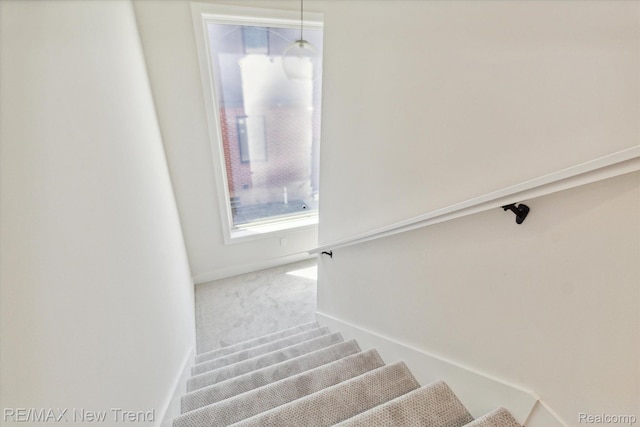2911 Walsh Dr, Rochester Hills, MI 48309 - stairs featuring baseboards and carpet floors