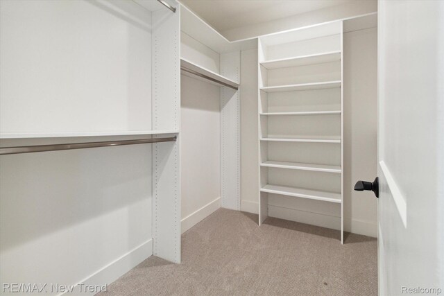 2911 Walsh Dr, Rochester Hills, MI 48309 - walk in closet with light colored carpet