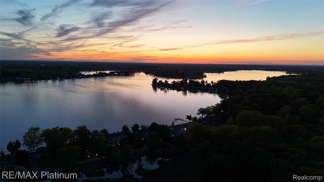 13368 Fenton Rd, Fenton, MI 48430 - water view with a forest