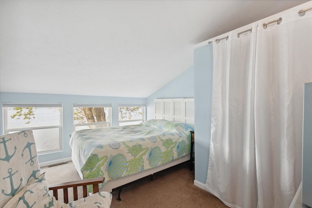 68398 Dailey Rd, Edwardsburg, MI 49112 - bedroom with carpet flooring, vaulted ceiling, and baseboards