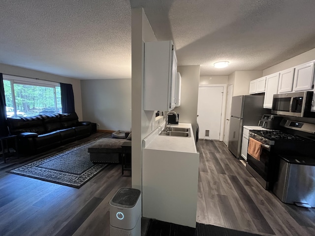 6530 Blue Lake Rd, Twin Lake, MI 49457 - kitchen featuring stainless steel appliances, a sink, a textured ceiling, open floor plan, and light countertops