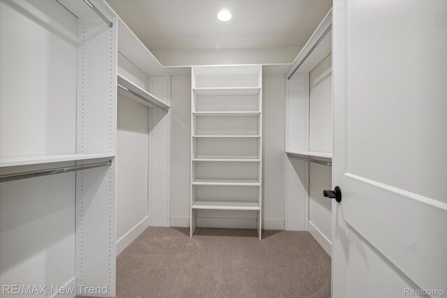 2921 Walsh Dr, Rochester Hills, MI 48309 - spacious closet featuring light colored carpet