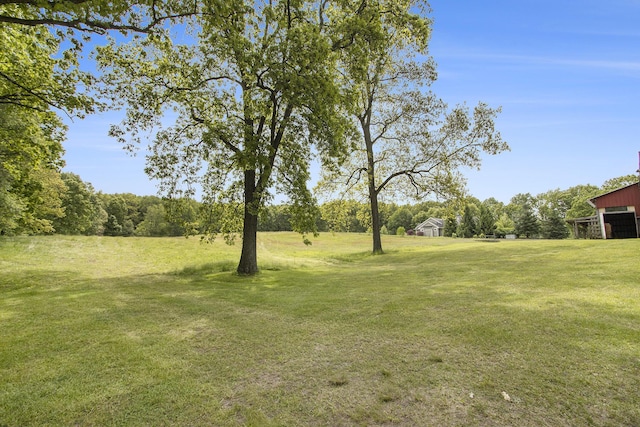 6541 S 6th St, Kalamazoo, MI 49008 - view of grassy yard