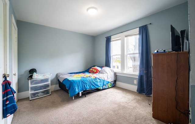 13 Rena St SW, Grand Rapids, MI 49507 - bedroom featuring carpet floors