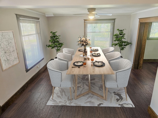 1114 E Michigan Ave, Albion, MI 49224 - dining area with ornamental molding, dark wood-style floors, baseboards, and a ceiling fan