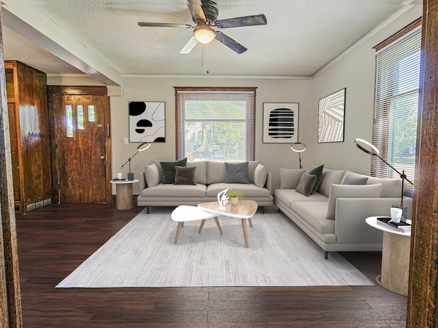 1114 E Michigan Ave, Albion, MI 49224 - living room featuring wood finished floors, a ceiling fan, a textured ceiling, and ornamental molding