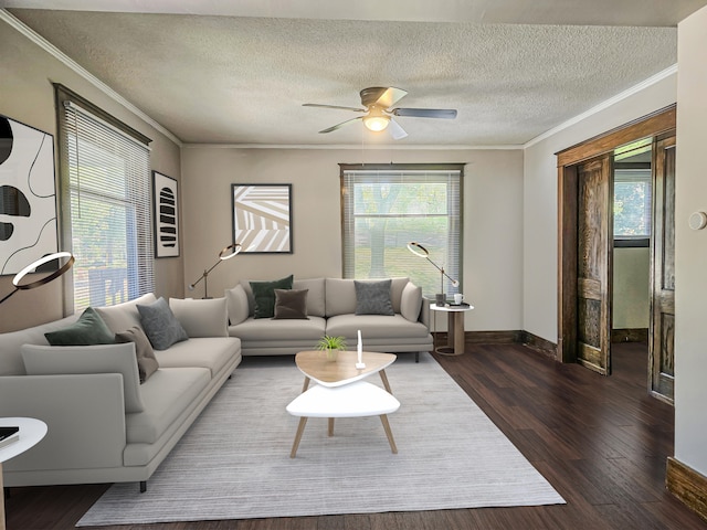 1114 E Michigan Ave, Albion, MI 49224 - living area with crown molding, ceiling fan, dark wood finished floors, a textured ceiling, and baseboards