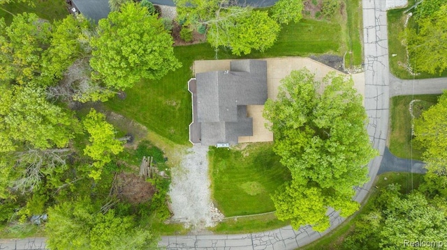 10161 N Loma Cir, Grosse Ile, MI 48138 - view of subject property