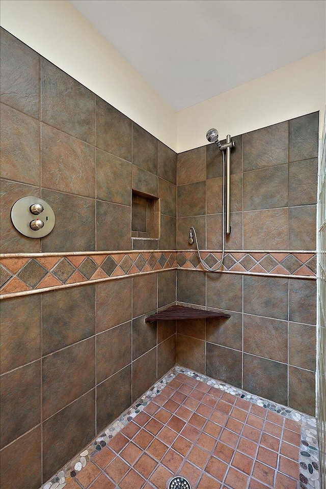 2 Eastbury Ct, Ann Arbor, MI 48105 - bathroom featuring tiled shower
