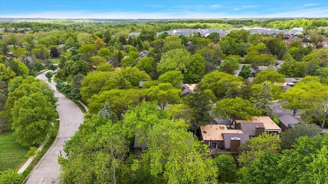 2 Eastbury Ct, Ann Arbor, MI 48105 - drone / aerial view