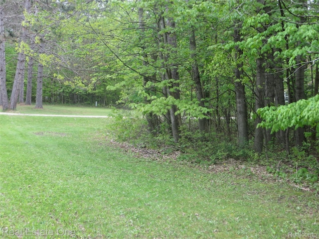 000 M 55, Cadillac, MI 49601
