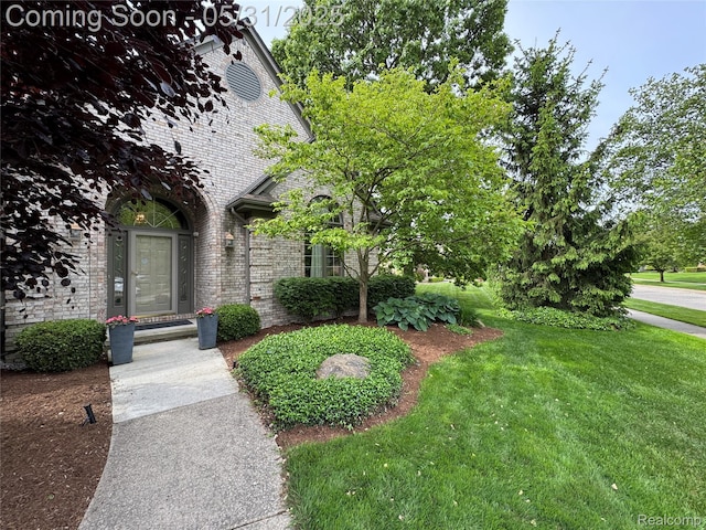 7348 William Dr, Shelby Twp, MI 48316 - view of green lawn