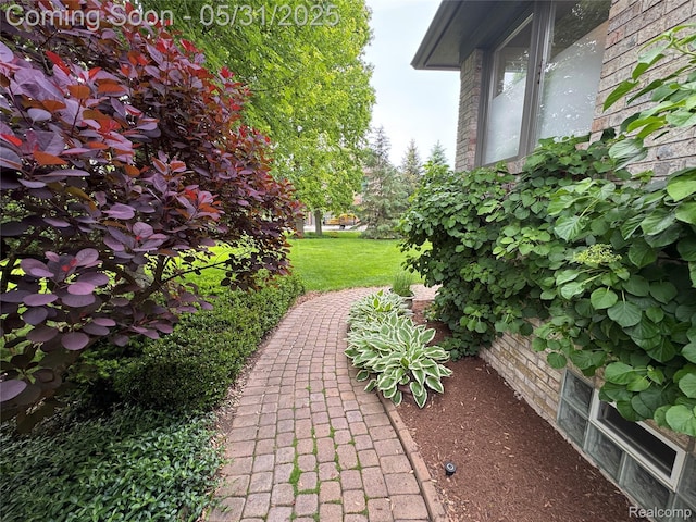 7348 William Dr, Shelby Twp, MI 48316 - view of green lawn
