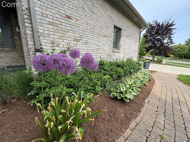 7348 William Dr, Shelby Twp, MI 48316 - view of side of property with brick siding