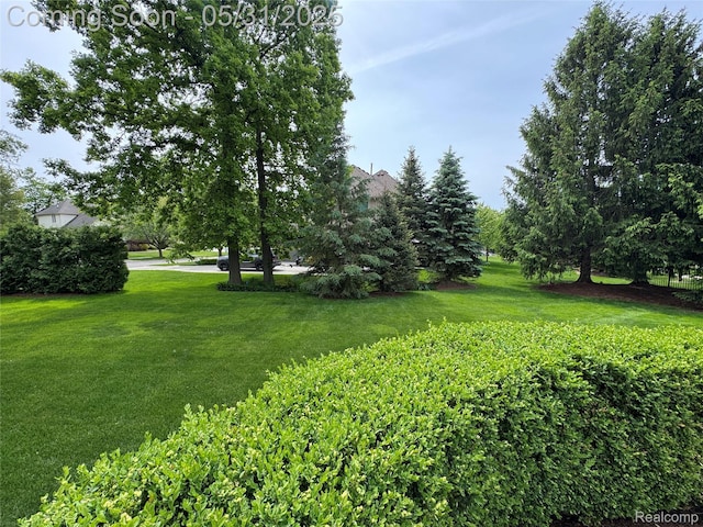 7348 William Dr, Shelby Twp, MI 48316 - view of grassy yard