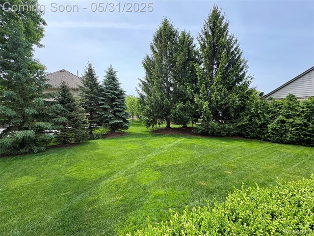 7348 William Dr, Shelby Twp, MI 48316 - view of grassy yard